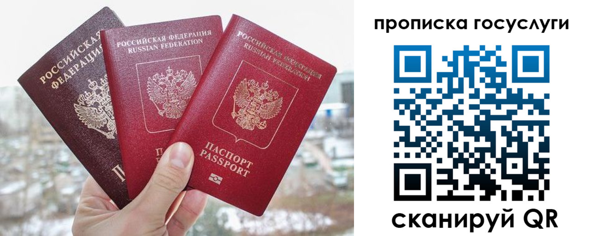 прописка законно в Ленинградской области